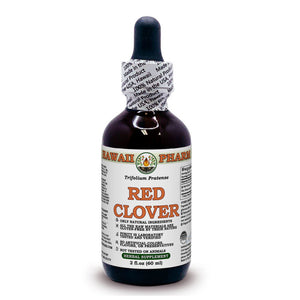 Open image in slideshow, Red Clover (Trifolium Pratense)

